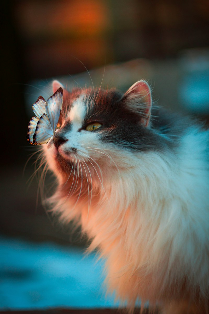 Cat with flowers healthy